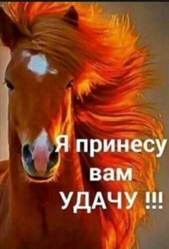 file_78635940
