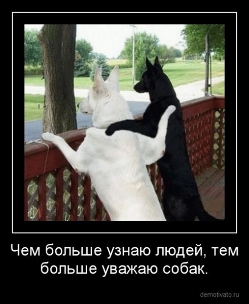 demotivator 1310585273.81