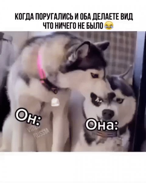 IMG 20221018 140024