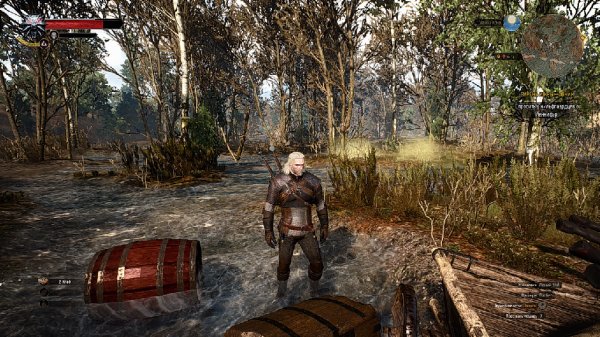 Witcher 3 - Wild Hunt HD MOD-