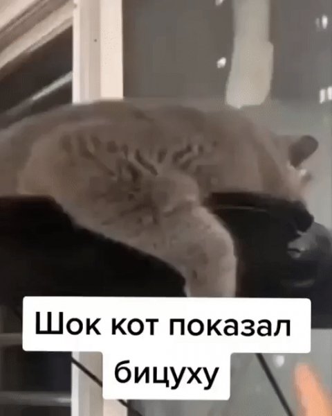 IMG 20221018 140121