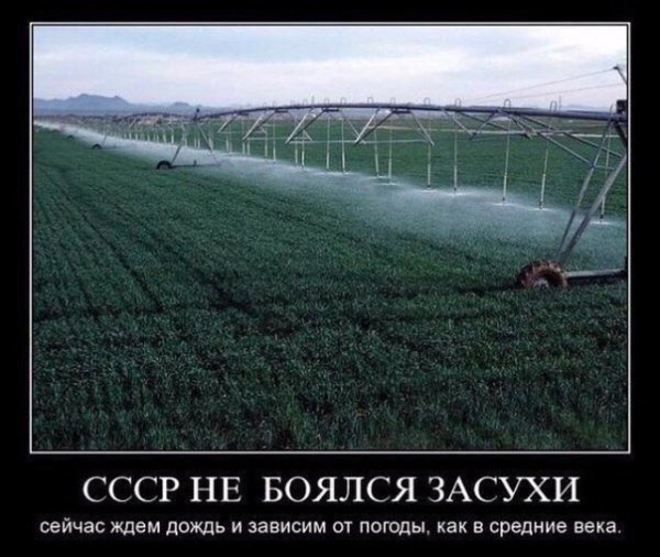 file_79088731