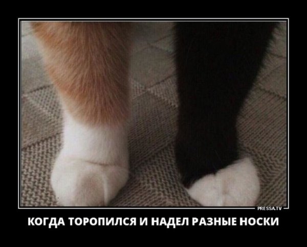 Когда торопился надел разные носки