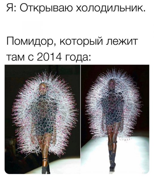 file_94271011