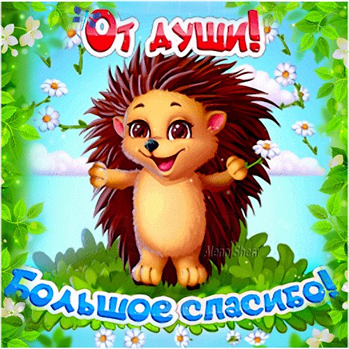 спасибо 096004