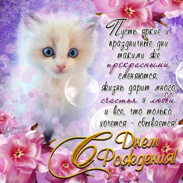 file_81288241