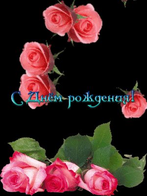 file_73885541