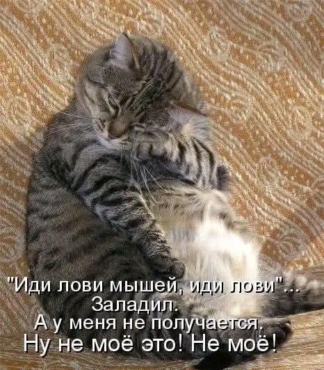 file_103266335