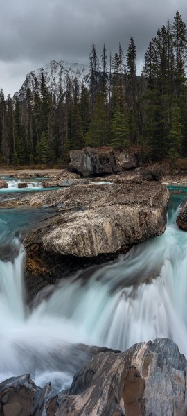file_103210154