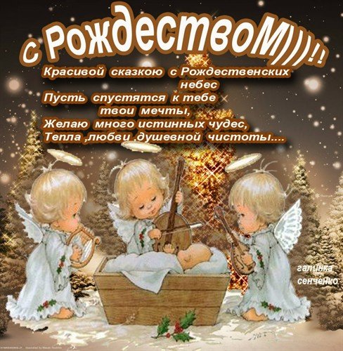 file_81316496