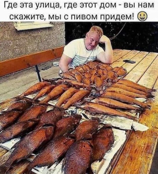FB IMG 1716951007061