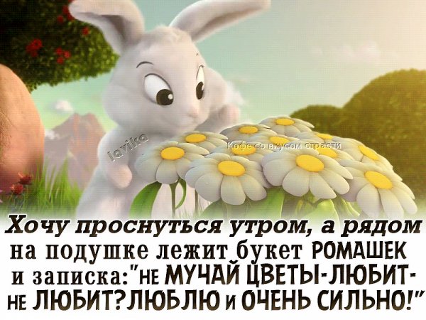 IMG 20180303 170551 11