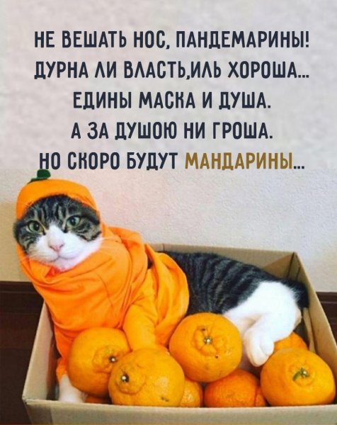 file_89026496
