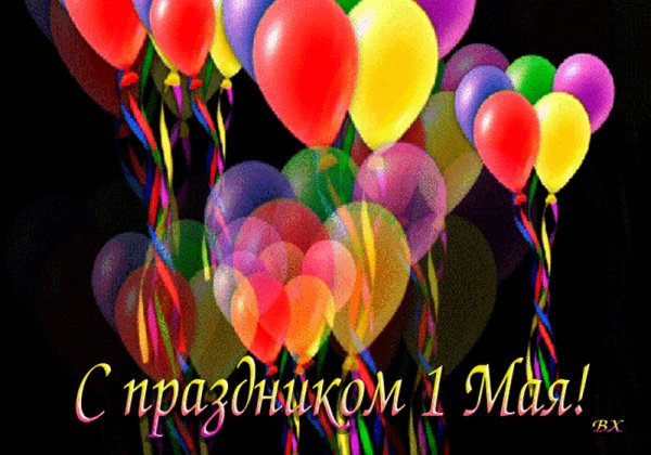 file_81453073