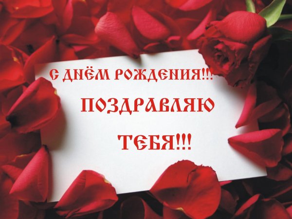 file_81279196