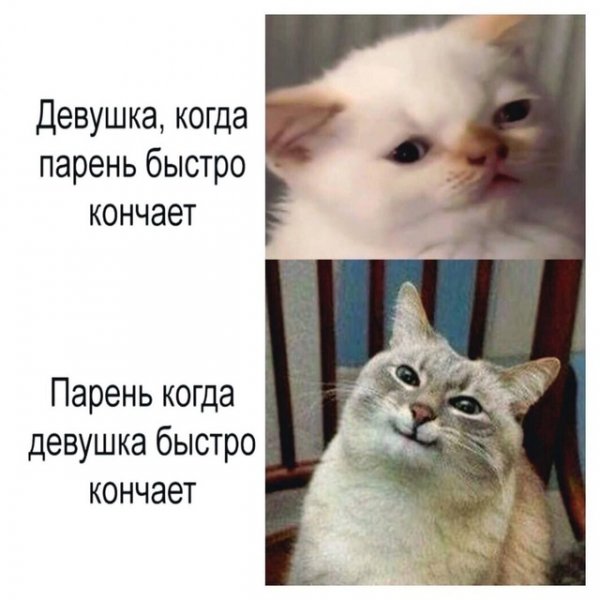 file_97700949