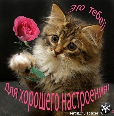 8 марта 3