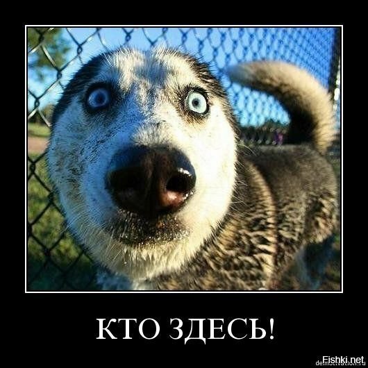 дем
