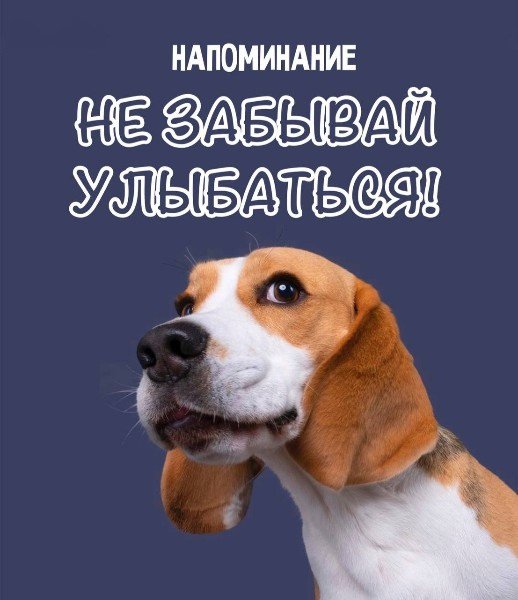file_95216098