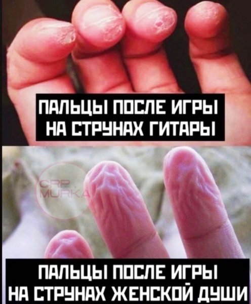 file_93036012