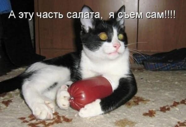 FB IMG 1764955894788