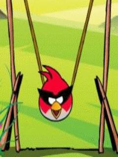 Angry Birds Get Eggs