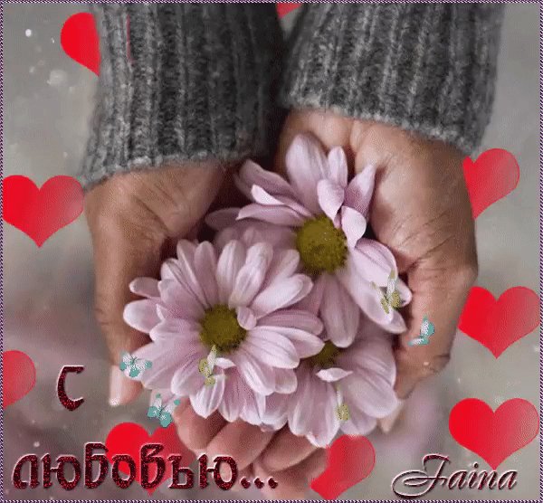 IMG 20180309 125210 1