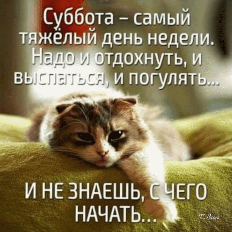 Анимированная открытка суббота самый