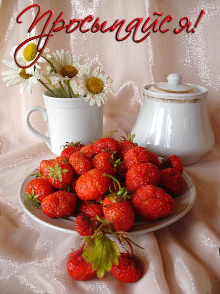 file_83959954
