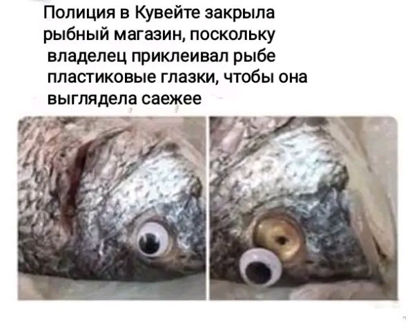 file_103266343