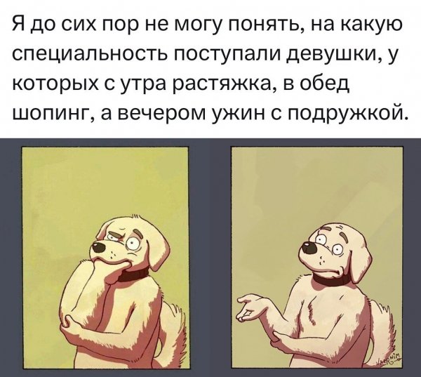 file_95917279