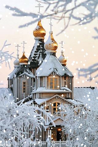 file_80277578