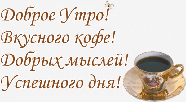 d6e23f7b0875441272f6f0f78dc6e 1