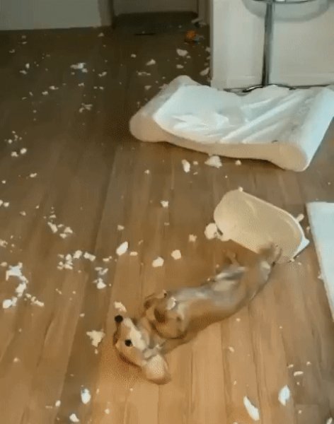 НАТВОРИЛ И ДОВОЛЕН РЕЗУЛЬТАТОМ!