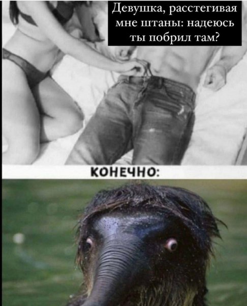 file_98345740