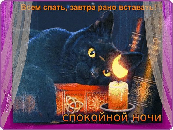 IMG 20200201 094722