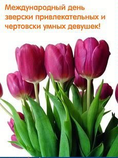 Международный день