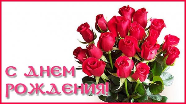 file_81279045
