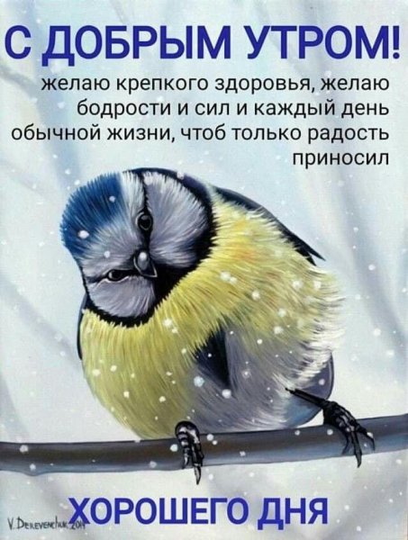 С добрым утром