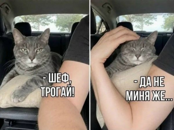file_103547599