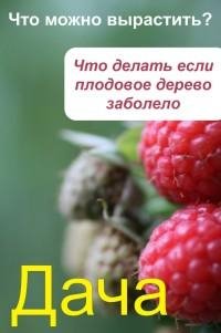 Что можно вырастить. Что делать если пло
