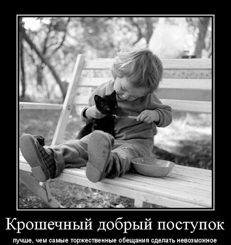 IMG 20201029 090957