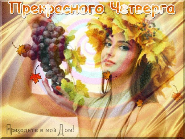 file_79047933