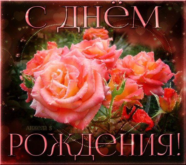 img 6c258643c8cfbf5e132a7295c125189c