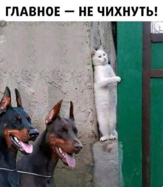 file_95584792