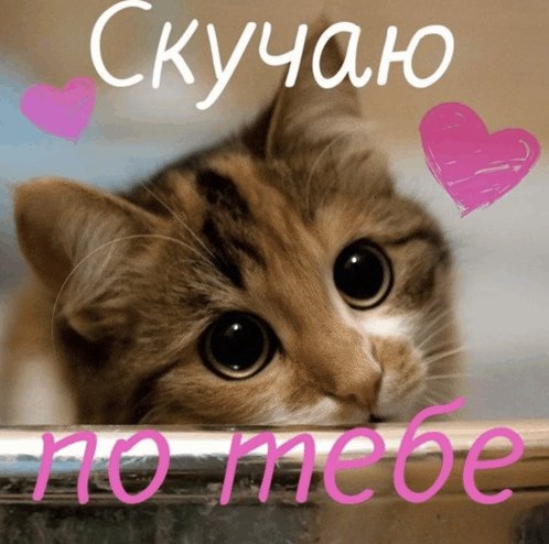 GreetingCard 2024 04 30 000254