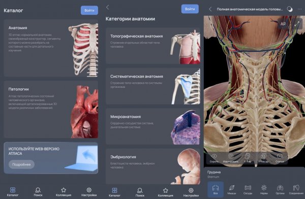 VOKA 3D Анатомия Pro v7.4.0