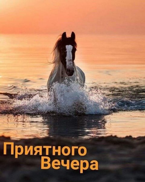 Приятного вечера