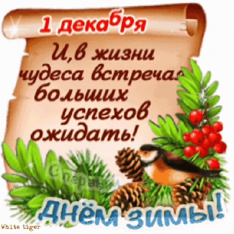 12 01 12 38 54