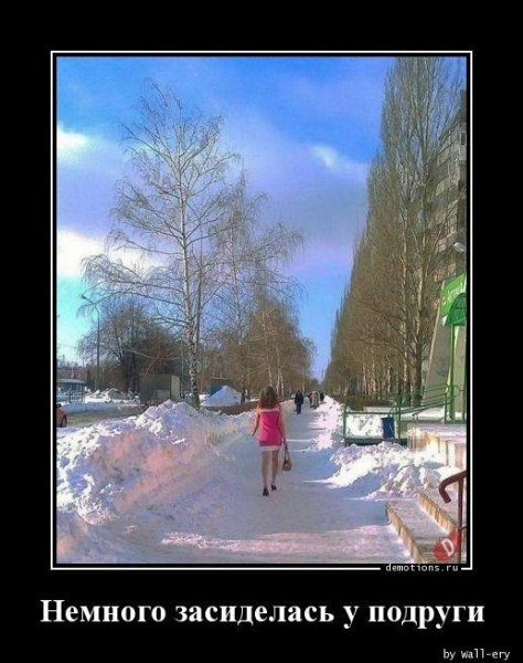 file_101106382